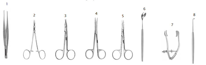 Microsurgery Enucleation Set